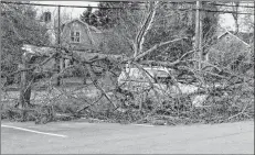  ?? TONY DAVIS/THE GUARDIAN ?? A tree fell onto a Parks Canada van at Ardgowan National Historic Site in Charlottet­own causing damage during Saturday’s wind storm, where gusts reached 104 kilometres an hour.