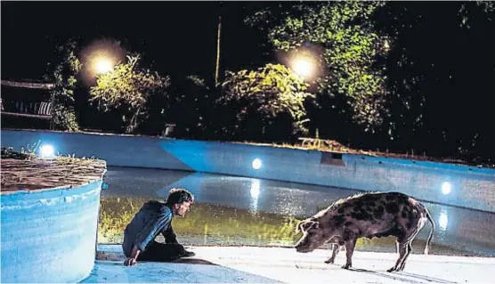  ?? (PRENSA LA CHANCHA) ?? “La chancha”. La película está protagoniz­ada por el actor Esteban Meloni.