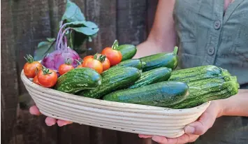  ?? ?? Home-grown: Courgettes, cucumbers, tomatoes and beetroots are a tasty treat