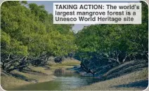  ?? ?? TAKING ACTION: The world’s largest mangrove orest is Unesco World eritage site