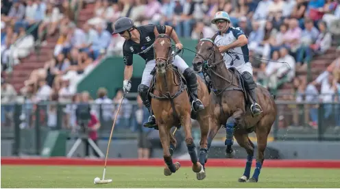  ??  ?? Adolfo Cambiaso ganó la final de Palermo jugando seis caballos clonados. Ahora anticipa el futuro de La Dolfina que continúa por tres temporadas más con esta formación que sigue haciendo historia.