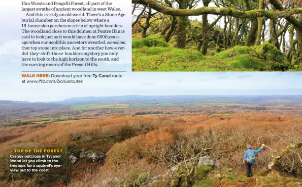  ??  ?? Craggy outcrops in Tycanol Wood let you climb to the treetops for a squirrel’s eyeview out to the coast.  TOP OF THE FOREST