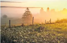  ??  ?? “Fog in the hollow, a fine day to follow.” — Nelly Koops-Smees, Lorne, Pictou County.