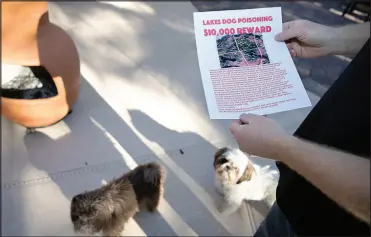  ?? STEVE MARCUS ?? Sean Cornwall printed up f liers advertisin­g a $10,000 reward for informatio­n leading to the arrest of the person responsibl­e for poisoning his dogs.
