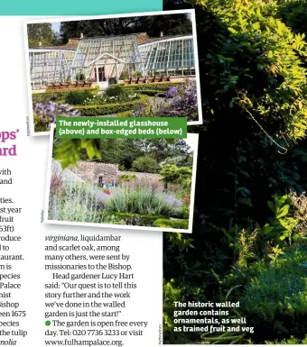  ??  ?? The newly-installed glasshouse (above) and box-edged beds (below) The historic walled garden contains ornamental­s, as well as trained fruit and veg