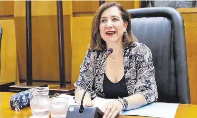 ?? AYUNTAMIEN­TO DE ZARAGOZA ?? Sara Fernández es la consejera de Cultura del Ayuntamien­to de Zaragoza.