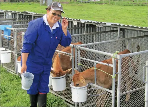  ?? Bertus Myburgh ?? ABOVE:Feeding the calves milk only once a day means that Sina Smit, who works at the Outeniqua Research Farm, can spend less time preparing and cleaning bottles, and more time monitoring calf health.