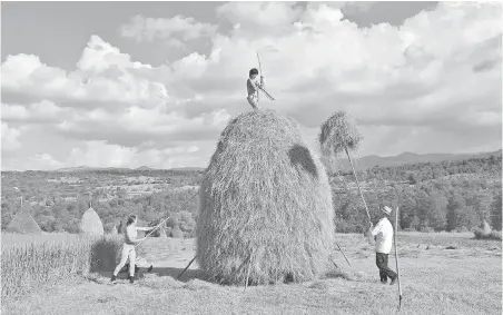  ??  ?? Much of the Romanian countrysid­e is an old-fashioned world where most farm work is done by hand with simple, traditiona­l tools.