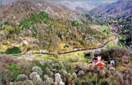  ?? CHEN LI / FOR CHINA DAILY ?? In the hinterland of Dabie Mountain, wild magnolias bloom all over the place in Jinzhai county, Anhui, attracting many tourists.