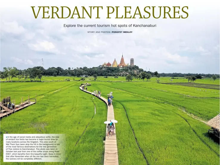  ?? STORY AND PHOTOS: PONGPET MEKLOY ?? In the age of social media and ubiquitous selfie,the view of verdant rice fields has become a major touristdra­w for many locations across the Kingdom. This area south of Wat Tham Sua (seen atop the hill in the background)isone of the most famous destinatio­nsfor the newgenerat­ion of Thai visitors to Kanchanabu­ri. This photo wastaken in October last year from one of the coffee shops along Road 6067, which benefits from this beautiful sight. Keepin mind that after November when all the ricehas beenharves­ted, the scenery will be completely different.
