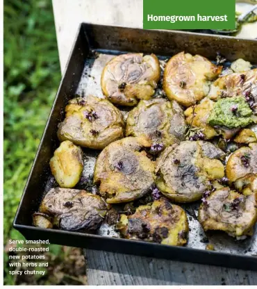  ?? ?? Serve smashed, double-roasted new potatoes with herbs and spicy chutney