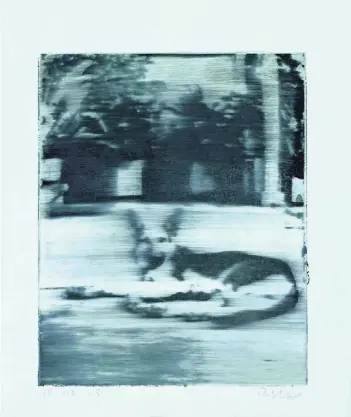  ?? FOTO: GERHARD RICHTER, 2017 ?? Nummer eins von Richters Editionen ist ein Siebdruck auf bemaltem Hartkarton ( 1965).Er zeigt Schäferhun­d Wolfi, dessen Foto Richter aus dem Album seiner damaligen Frau entnahm. Beim Drucken hat er es verwischt.