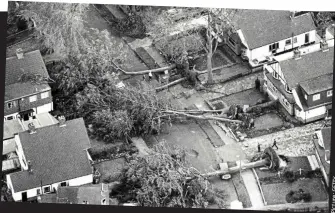  ?? Y TT E G : e r u t c i P ?? Toppled: A South London road loses most of its trees