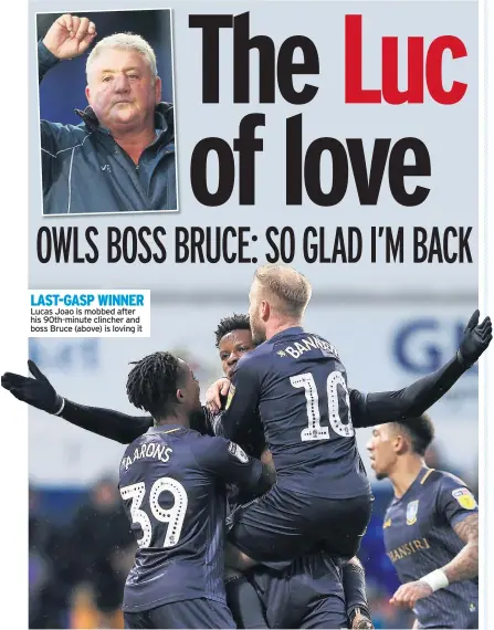  ??  ?? LAST-GASP WINNER Lucas Joao is mobbed after his 90th-minute clincher and boss Bruce (above) is loving it