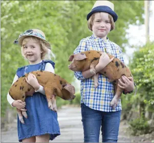  ??  ?? Lia and Greg O’Toole are heading to the Munster Agricultur­al Showground­s in Curraheen with their Pedigree Sandy & Blacks piglets from Winetavern Farm. Photo: Clare Keogh