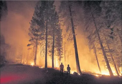  ?? NOAH BERGER — THE ASSOCIATED PRESS ?? Cal Fire captains Derek Leong, right, and Tristan Gale monitor a firing operation, where crews set a ground fire to stop a wildfire from spreading, while battling the Dixie Fire in Lassen National Forest on Monday. The Dixie Fire has burned more than 208,000 acres.