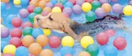  ??  ?? This beagle is enjoying his free splash and play.