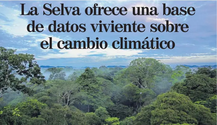  ?? FOTOS CORTESÍA CARLOS DE LA ROSA/ LA SELVA ?? La Estación Biológica La Selva está en Sarapiquí de Heredia y es parte del Área de Conservaci­ón de la Cordillera Volcánica Central (ACCVC).