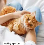  ?? ?? Stroking a pet can release oxytocin, the ‘comfort chemical’