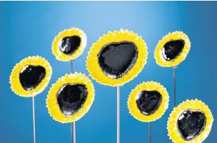  ??  ?? The ceramic sunflowers which mark the 30th anniversar­y of the East Cheshire Hospice which are now on sale