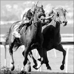  ?? SHANE MICHELI/VASSAR PHOTOGRAPH­Y ?? Restrained­vengence (left) outgames Kiwi’s Storm to win the All American on May 25. They meet again Sunday.