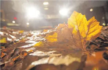  ?? FOTO: DPA ?? Dunkelheit, rutschiges Laub und Regen machen das Autofahren im Herbst besonders gefährlich.