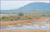  ?? HT FILE ?? The mangrove cell had proposed a conservati­on reserve for three Uran wetlands – Panje, Bhendkhal and Belpada.