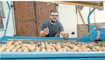  ?? FOTO: ROLF RUPPENTHAL ?? Jungbauer Fabian Scheffler sucht eigene Vermarktun­gswege. Zurzeit werden bereits die Frühkartof­feln geerntet und vom Hof aus verkauft.