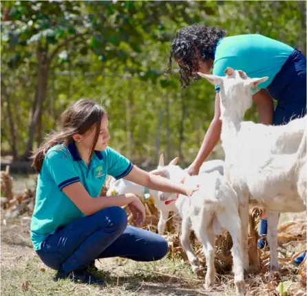  ?? ?? Alumnos de Santa Cruz, Guanacaste, producen leche y queso de cabra. Ellos se encargan de todo el proceso de cuido de los animales y el procesamie­nto de los derivados. COrTEsÍA