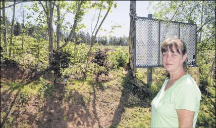  ?? HARRY SULLIVAN/TRURO DAILY NEWS ?? Margaret Traverse of Guest Drive in Bible Hill erected a small privacy fence behind her home after the adjoining property was clear-cut in preparatio­n for a proposed 55-plus housing developmen­t. Beyond the loss of privacy, however, Traverse said the...