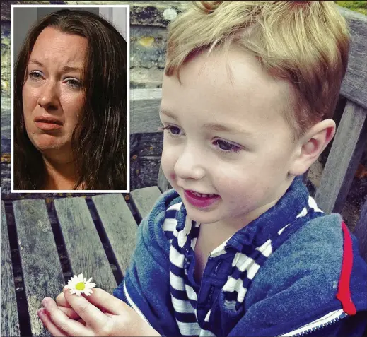  ??  ?? Tears: Rebecca Minnock, inset says she hopes a court hearing today will reverse the decision to take Ethan, above, away from her