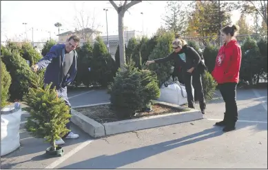  ?? NEWS-SENTINEL PHOTOGRAPH­S BY BEA AHBECK ?? Ronald Hacker, Cheri Gowetski, and Faun Gowetski, all of Lodi, search for a second tree they are getting for free with the purchase of their first tree, at Lowe’s in Lodi on Wednesday.