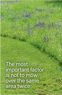  ??  ?? The most important factor is not to mow over the same area twice