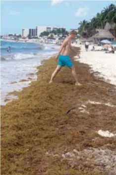  ?? | CUARTOSCUR­O ?? La presencia de sargazo desanimó a los viajeros que gustan de playas como Cancún.