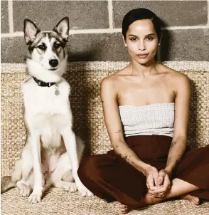  ?? ANA CUBA NYT file ?? Zoe Kravitz, shown with her dog Layla in 2020, starred as a bisexual character in Hulu’s ‘High Fidelity,’ which was canceled after one season. LGBTQ representa­tion on television has decreased, according to the LGBT advocacy organizati­on GLAAD.