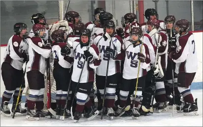  ?? Photos by Ernest A. Brown ?? After missing the playoffs by a point last season, the Woonsocket/Scituate Co-op hockey team came up one win short of the Division III final Tuesday night. No. 3 Mt. Hope earned a 2-1 victory over the No. 2 Villa Novans at Adelard Arena.
