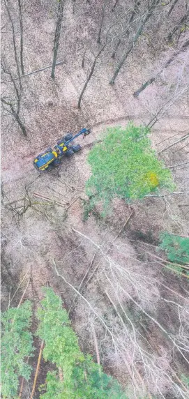  ??  ?? bin Harvester erntet Bäume im Brandenbur­ger Revier Rauen.