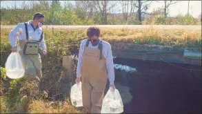  ?? Casey Phillips / Tennessee Aquarium ?? In Franklin County, Tenn., from left, Matt Hamilton, curator of Fishes for the Tennessee Aquarium, and Aquarist Adam Johnson carry oxygenated bags filled with endangered Barrens topminnows to a release site in Tennessee.