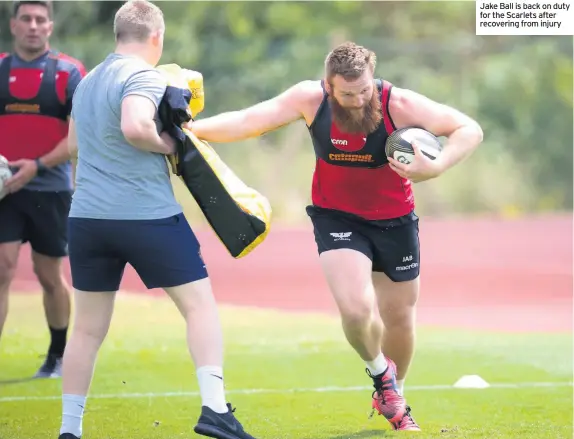  ??  ?? Jake Ball is back on duty for the Scarlets after recovering from injury