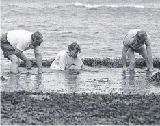  ??  ?? Searchers look for clues at Bells Beach after Clare’s body was found.