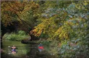  ?? (AP/PA/Andrew Matthews) ?? Trees show off their autumn leaves for kayakers Saturday at the Basingstok­e canal near Dogmersfie­ld, England.