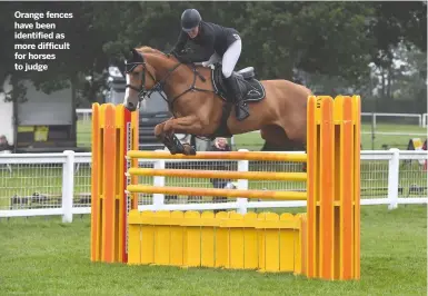  ??  ?? Orange fences have been identified as more difficult for horses to judge