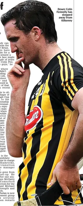  ??  ?? Down: Colin Fennelly has stepped away from Kilkenny