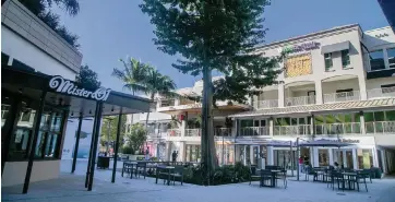  ?? PEDRO PORTAL pportal@miamiheral­d.com ?? A 60-foot kapok tree, or ceiba, stands as its tropical centerpiec­e of the new CocoWalk plaza in Coconut Grove.