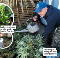  ??  ?? A thriving hosta and a quirky water feature
David adjusts one of the new water features