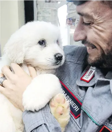  ?? (ALESSANDRO DI MEO/ANSA VIA AP) ?? Emergency crews digging into the avalanche-slammed Hotel Rigopiano, in central Italy, discovered three puppies who had survived for days under tons of snow, giving them new hope for the 22 people still missing in the disaster.