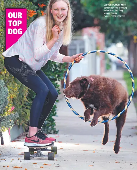  ?? Picture: PETER RISTESVKI ?? CLEVER POOCH: Milly Schroeder and Geelong Advertiser Top Dog winner Sarah.