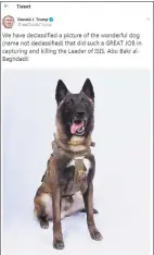  ?? Eric Baradat / Twitter via Getty Images ?? This screen shot of President Donald Trump’s Twitter account shows a picture of a dog that helped capture Islamic State leader Abu Bakr alBaghdadi.