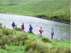  ??  ?? TRABAJO. Los esfuerzos apuntan al turismo comunitari­o.