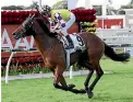  ??  ?? Sacred Elixir and rider Zac Purton look a winning combinatio­n for the Victoria Derby.